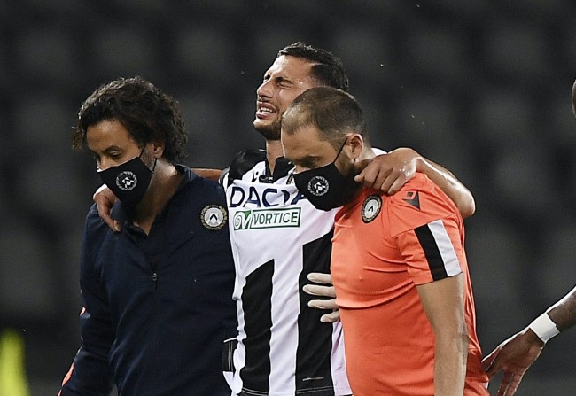 特的崛起为 特的崛起为