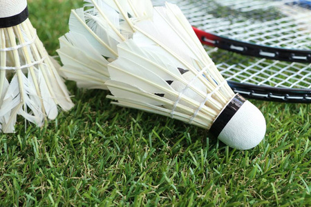 研究表明 研究表明