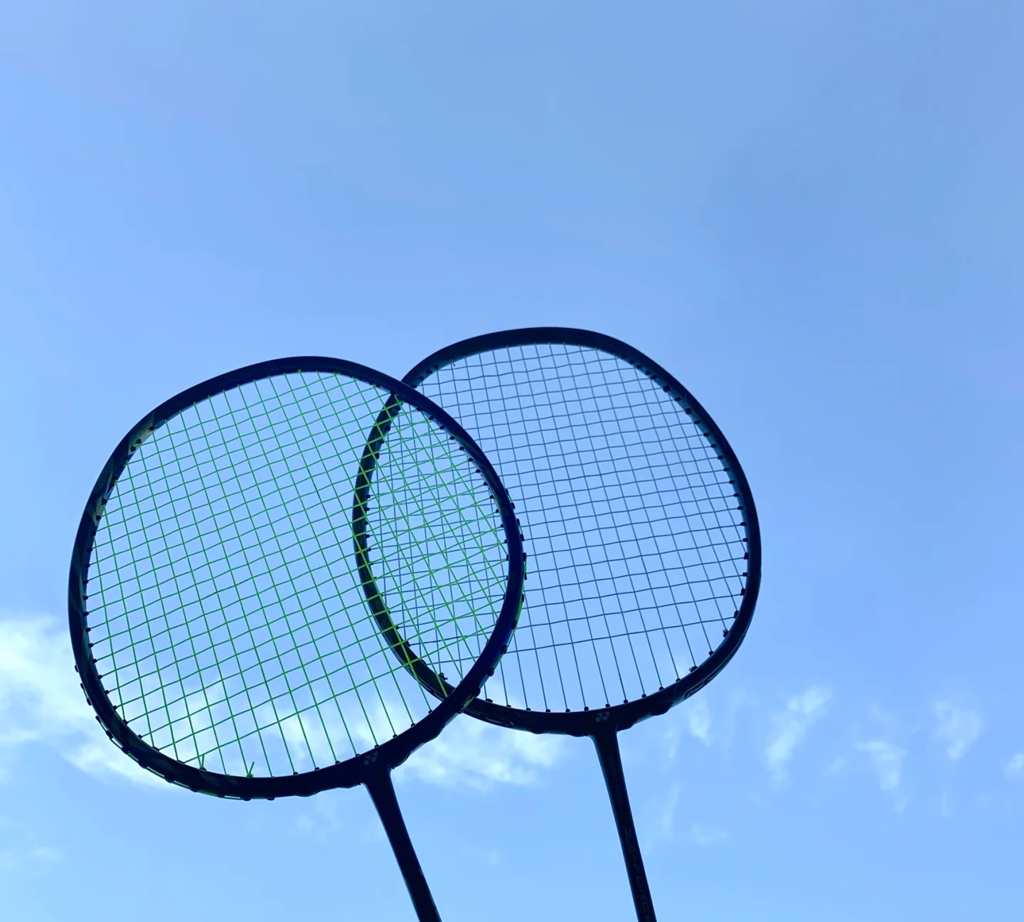 职业生涯的 职业生涯的